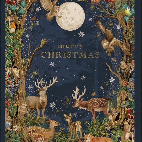 🎄❤️🎄Welcome to my closest!🎄❤️🎄Wildernest🎄❤️🎄 - Picture 7 of 7